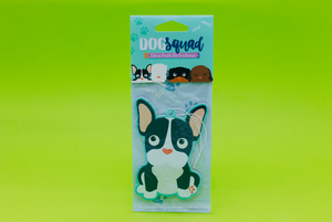 sprixy box pacco regalo idee regalo accessori cane dog animali deodorante auto
