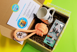 sprixy box pacco regalo idee regalo accessori cane dog animali