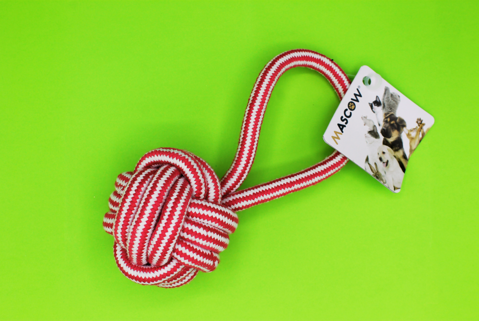 sprixy box pacco regalo idee regalo accessori cane dog animali Giocattolo da masticare per cani pallina